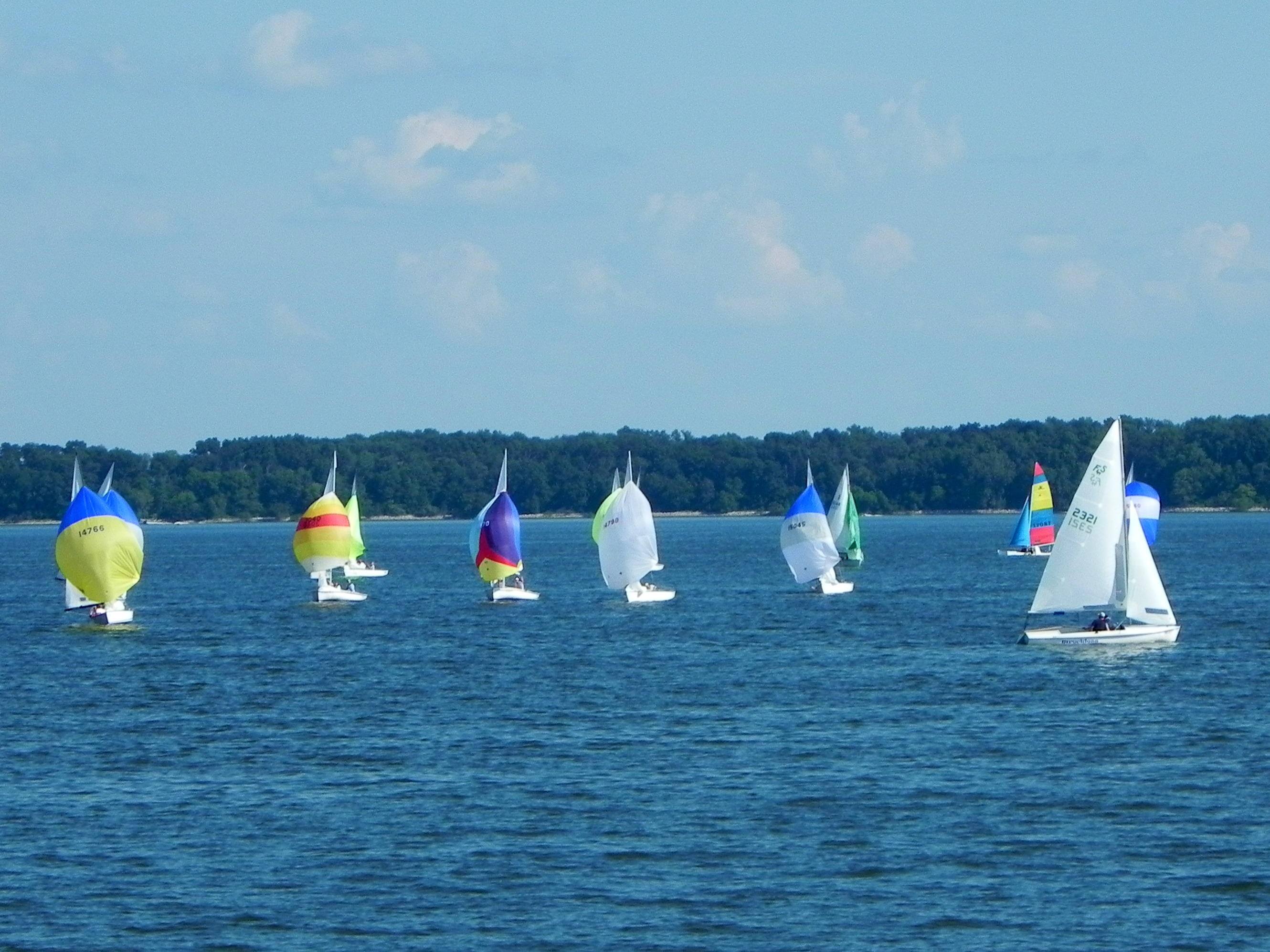 Whale of a Sail Regatta